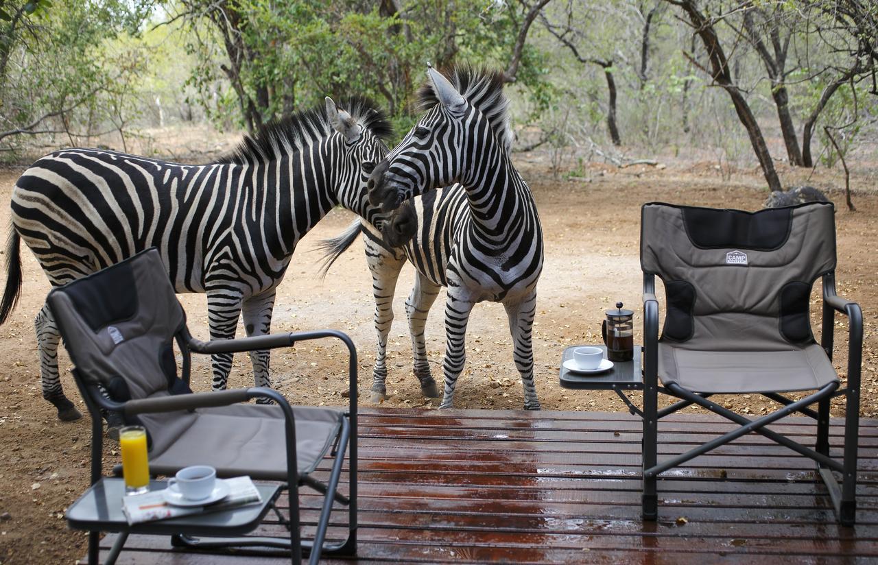 Tusk Bush Lodge Marloth Park Ngoại thất bức ảnh