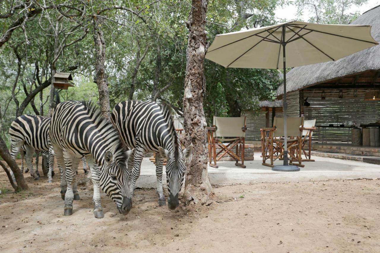 Tusk Bush Lodge Marloth Park Ngoại thất bức ảnh