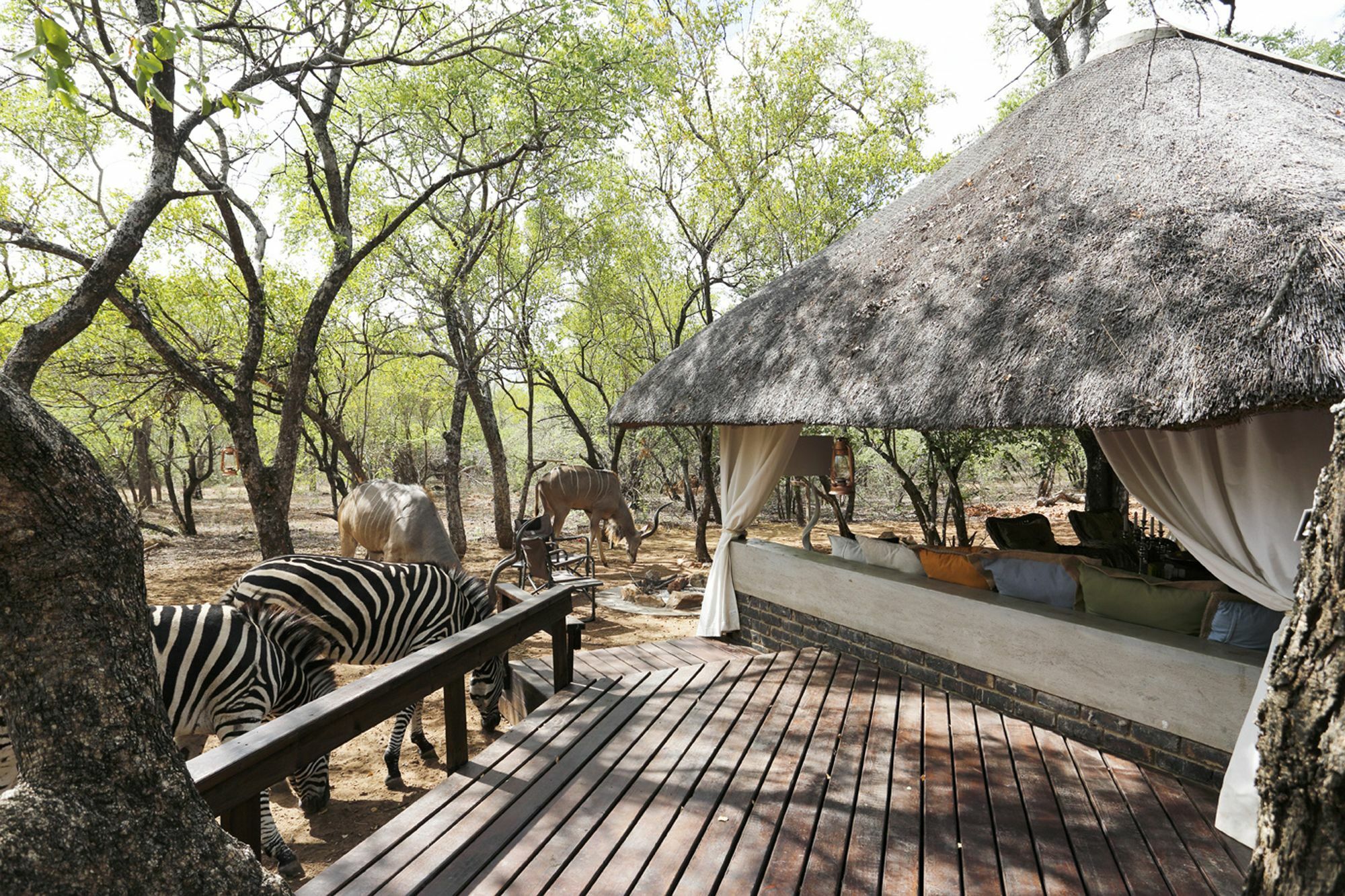 Tusk Bush Lodge Marloth Park Ngoại thất bức ảnh
