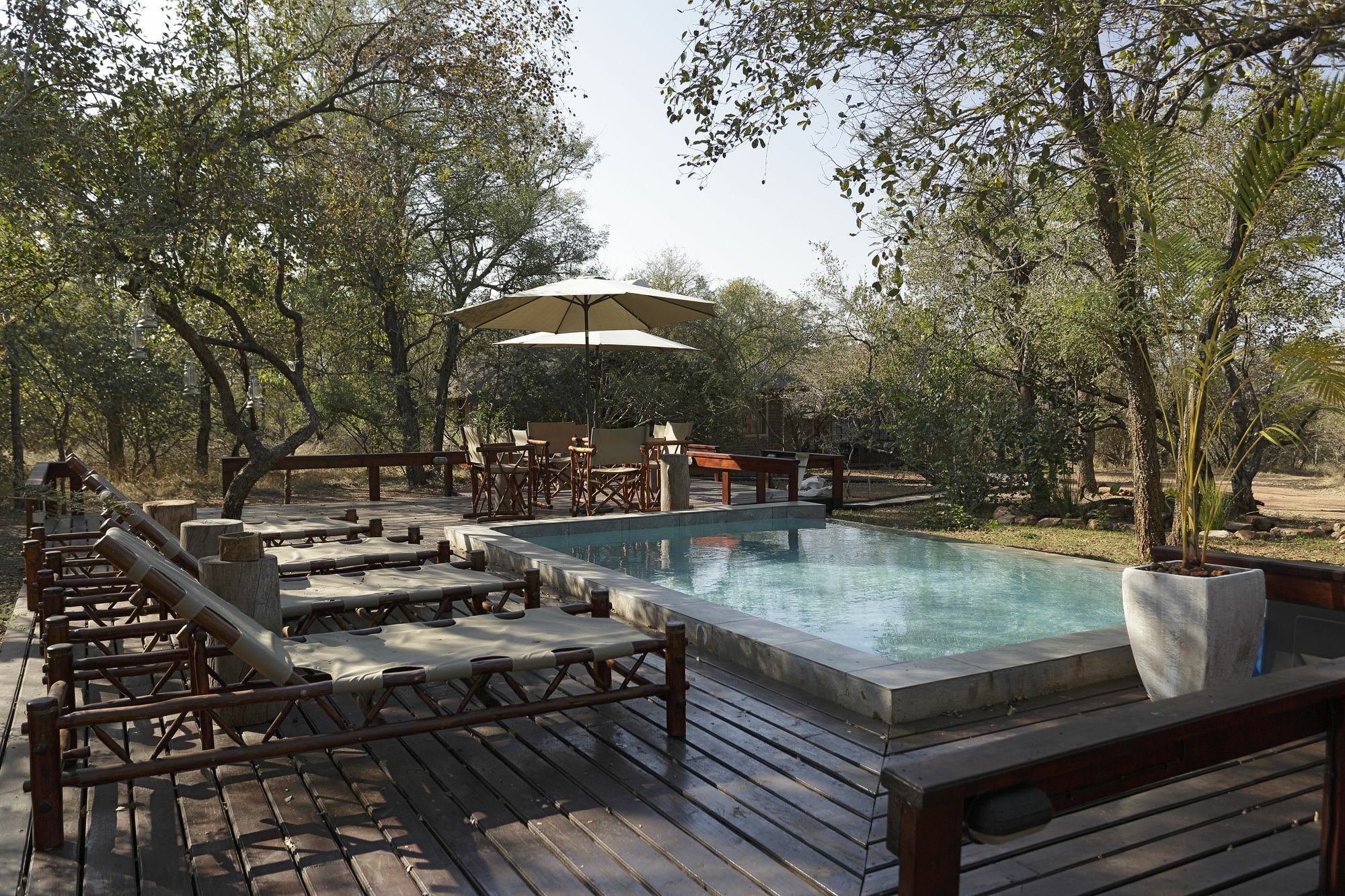 Tusk Bush Lodge Marloth Park Ngoại thất bức ảnh