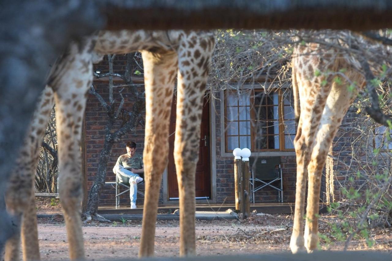 Tusk Bush Lodge Marloth Park Ngoại thất bức ảnh