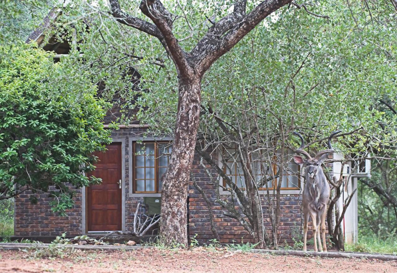 Tusk Bush Lodge Marloth Park Ngoại thất bức ảnh